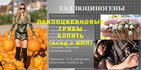 сатива Володарск