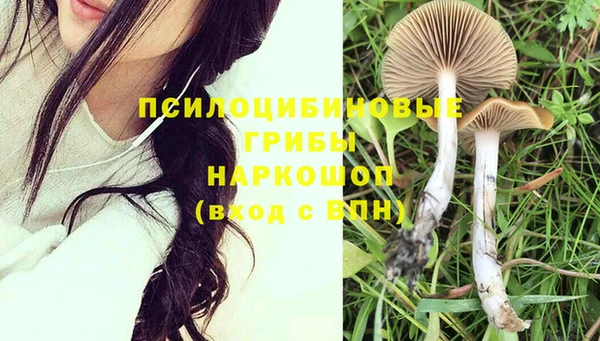 крисы Вяземский
